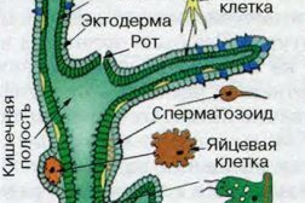 Кракен магазин krakens13 at