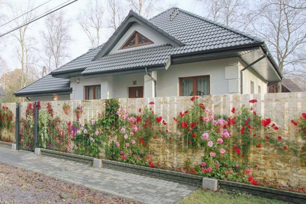 Кракен действующая ссылка