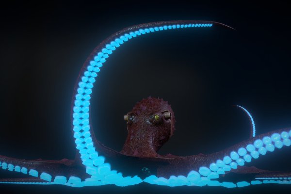 Kraken 20at net